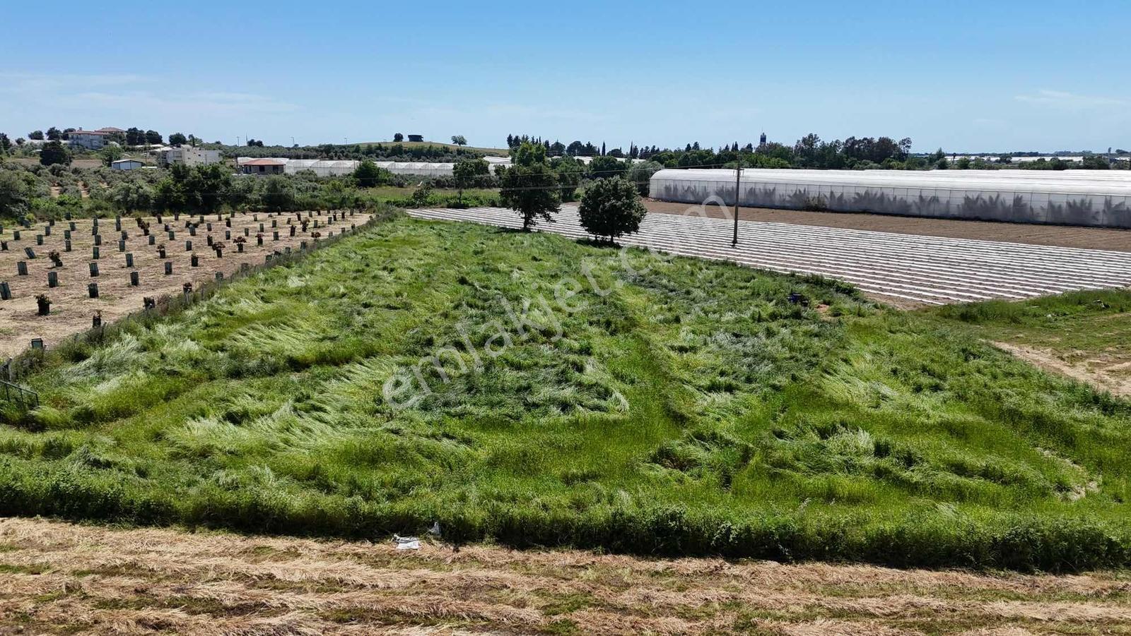 İnfo Gayrımenkul'den Seydilerde 5700m2 Satılık Tarla - Görsel 10