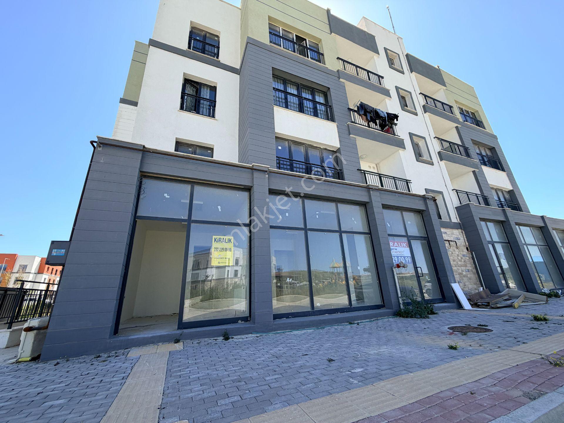 Seferihisar Toki Önü Açık Çift Bölmeli Kiralık Sıfır Köşe Dükkan - Görsel 5
