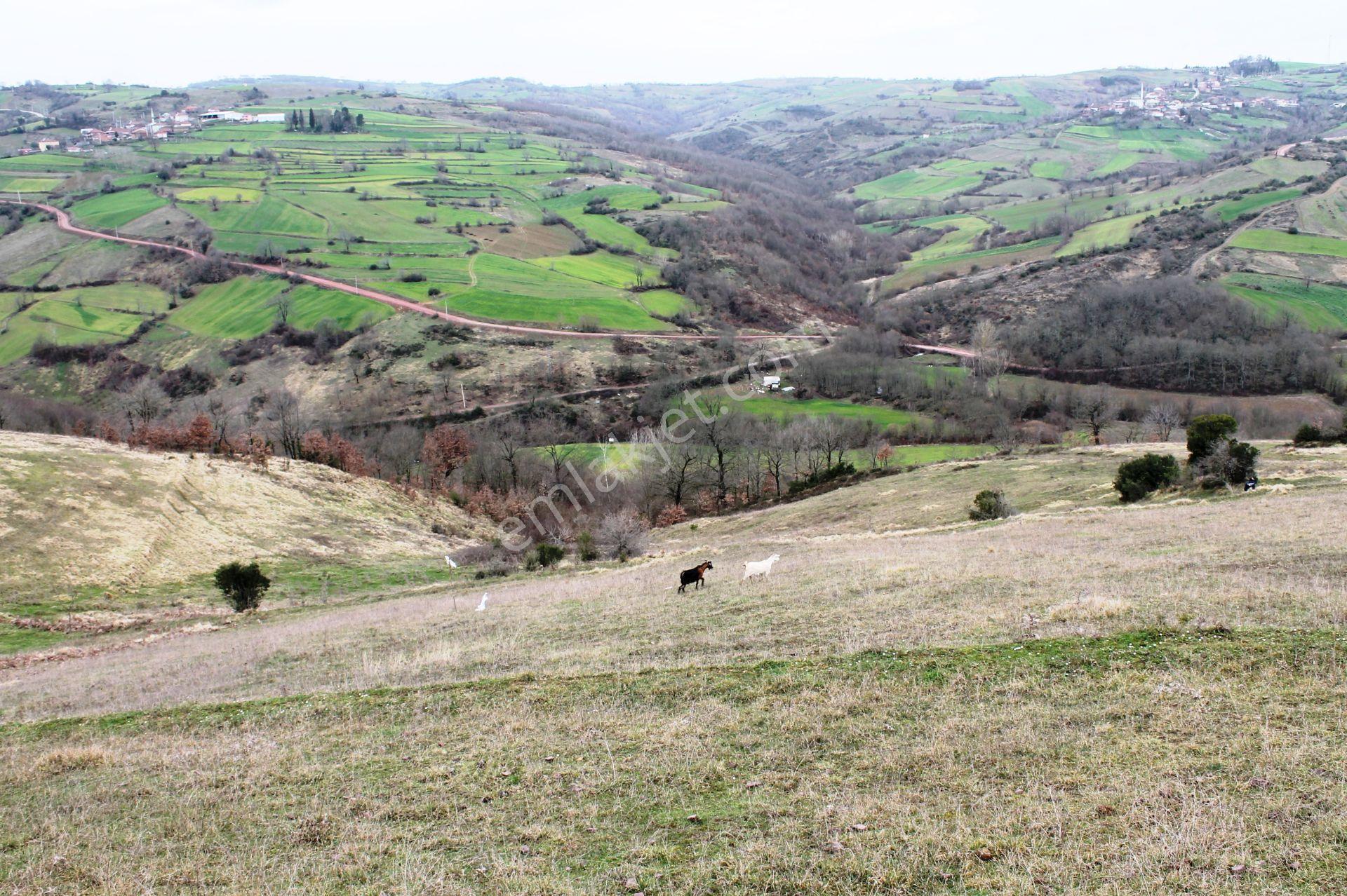 Menteşe Denizova'da 1.5 Dönüm Gelişime Açık Bölgede Satılık Arsa - Görsel 33