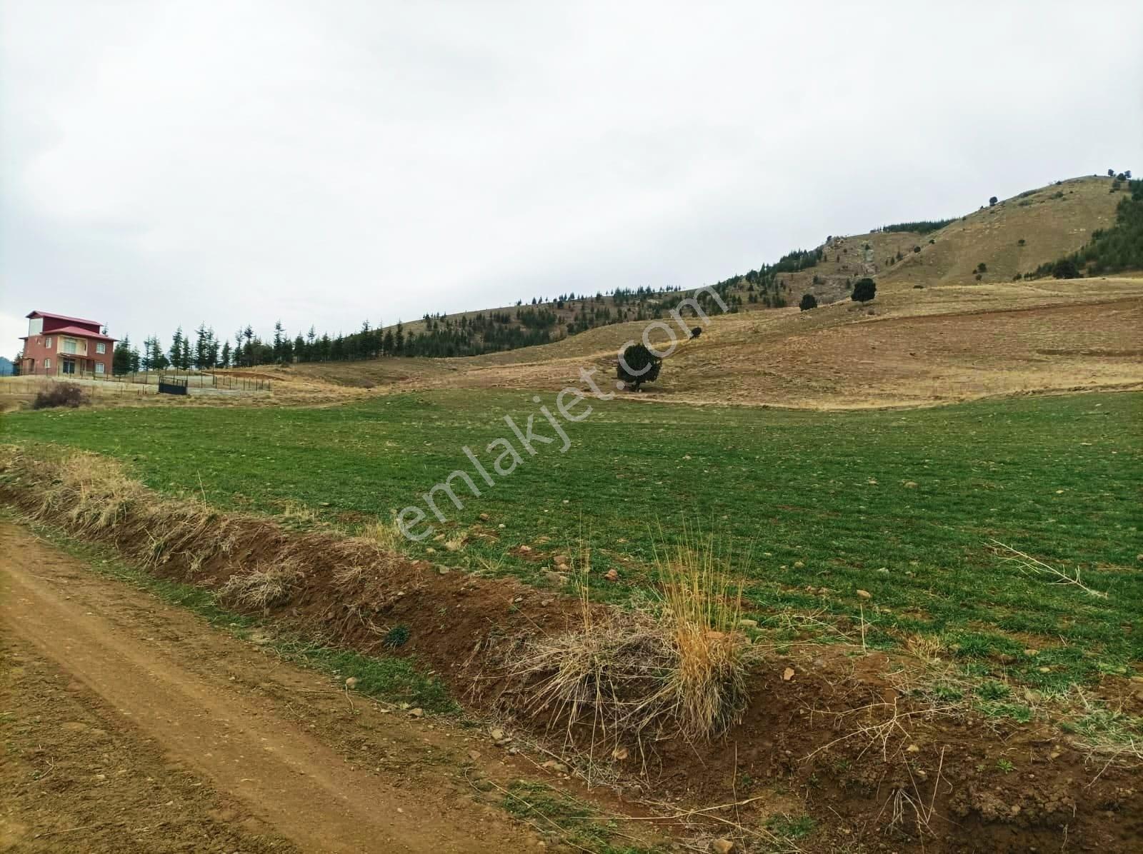 Kar Emlaktan Kamışlı Yaylasında 500m2 Satılık Arsa - Görsel 32