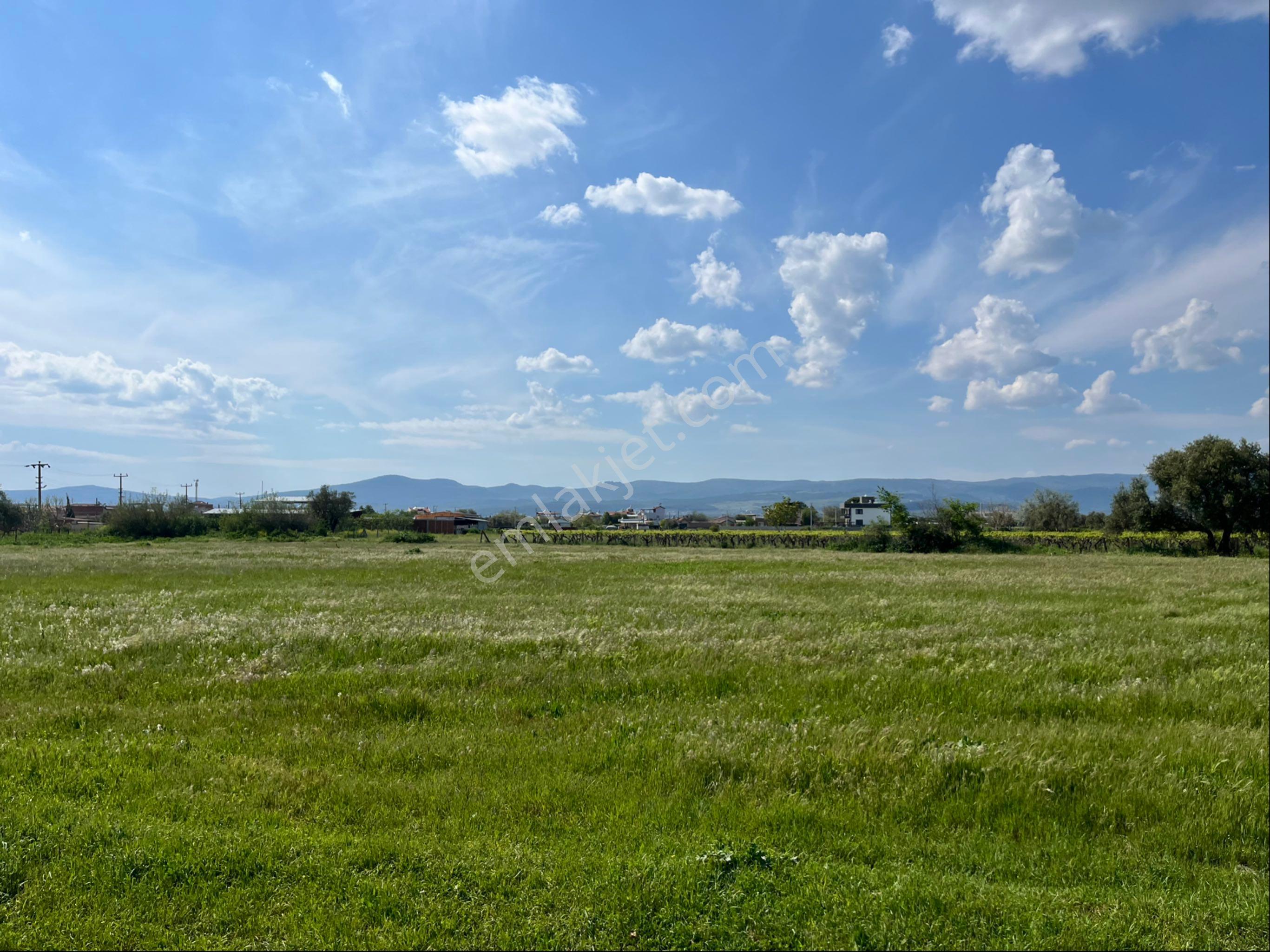 Paşaköy Mah 252m2 Satılık İmarlı Köşe Arsa İnşaat İzni Var - Görsel 11