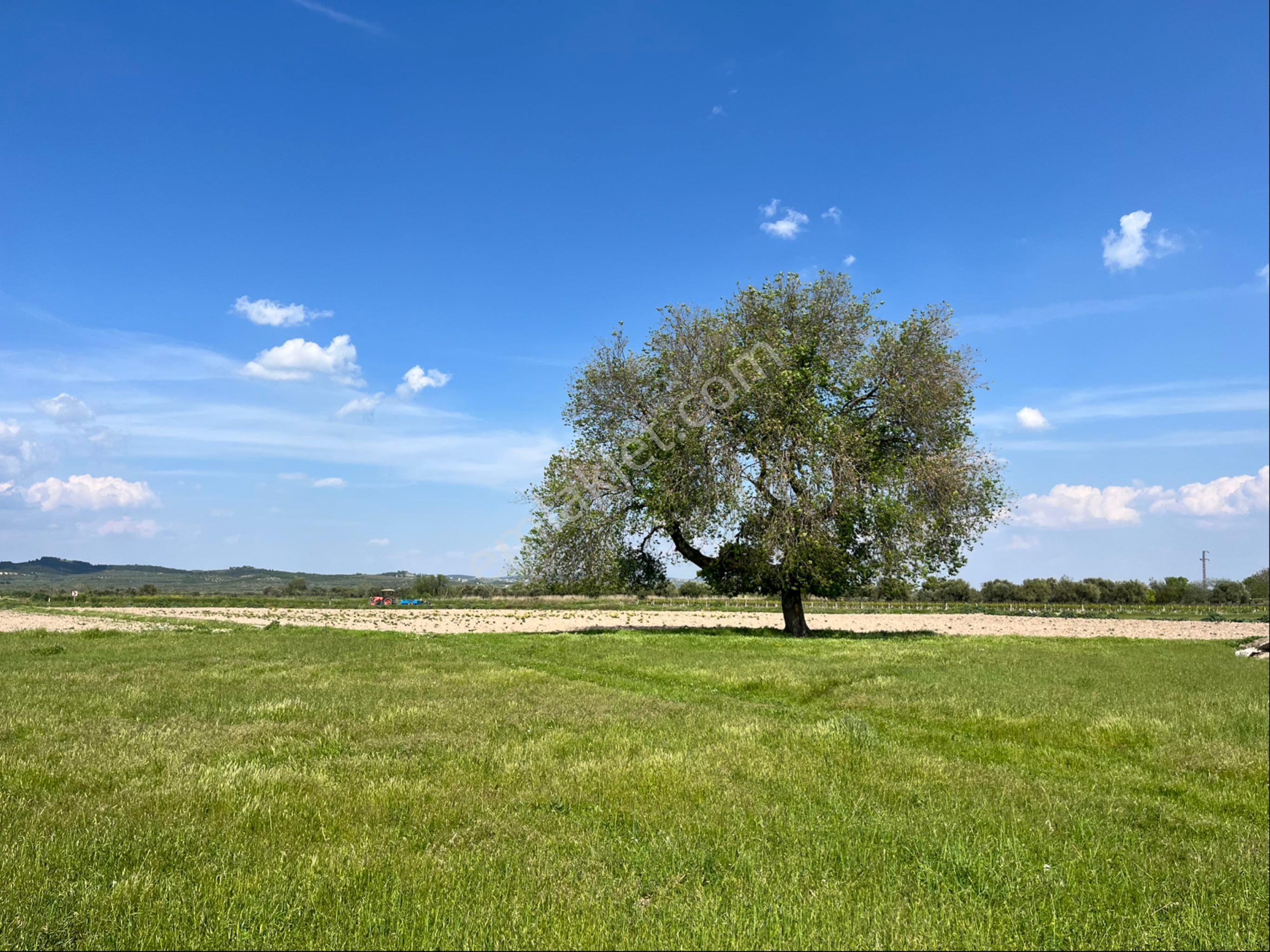 Paşaköy Mah 252m2 Satılık İmarlı Köşe Arsa İnşaat İzni Var - Görsel 28