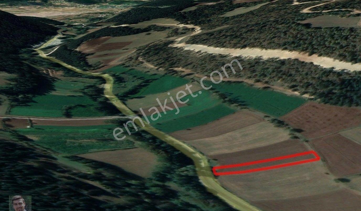 Yedigöller Yolu Üzerinde Satılık Tarla - Görsel 3