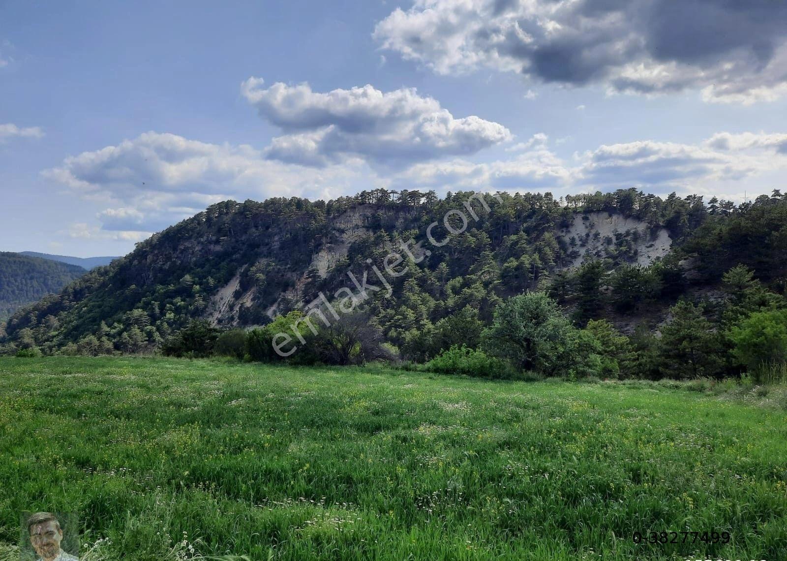 Mudurnu Sarpıncık Köyünde Satılık Tarlalar - Görsel 10