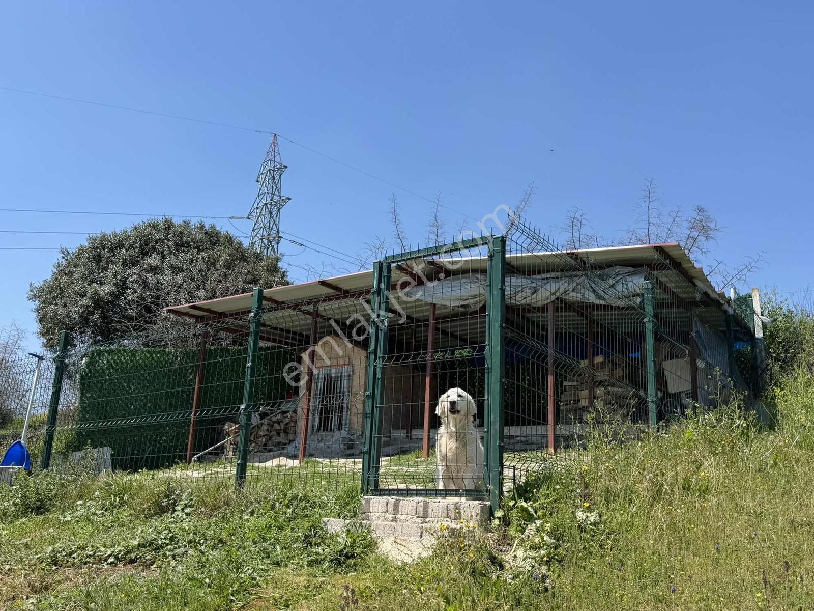 19 Mayıs Erenköyde Eşsiz Manzaralı Ev Ve 3.444 M² İmarlı Arsa - Görsel 4