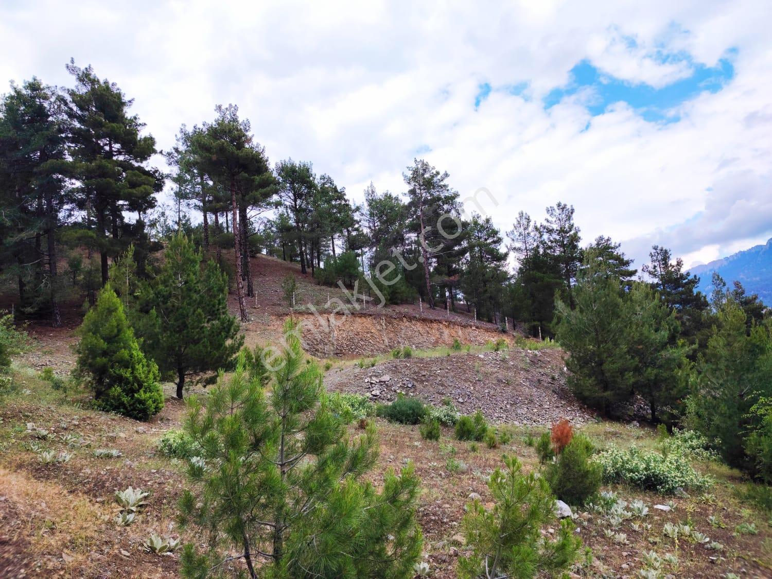 Kar Emlaktan İstiklal Mahallesinde 5 Kata İmarlı 400m2 Satılık Arsa - Görsel 4