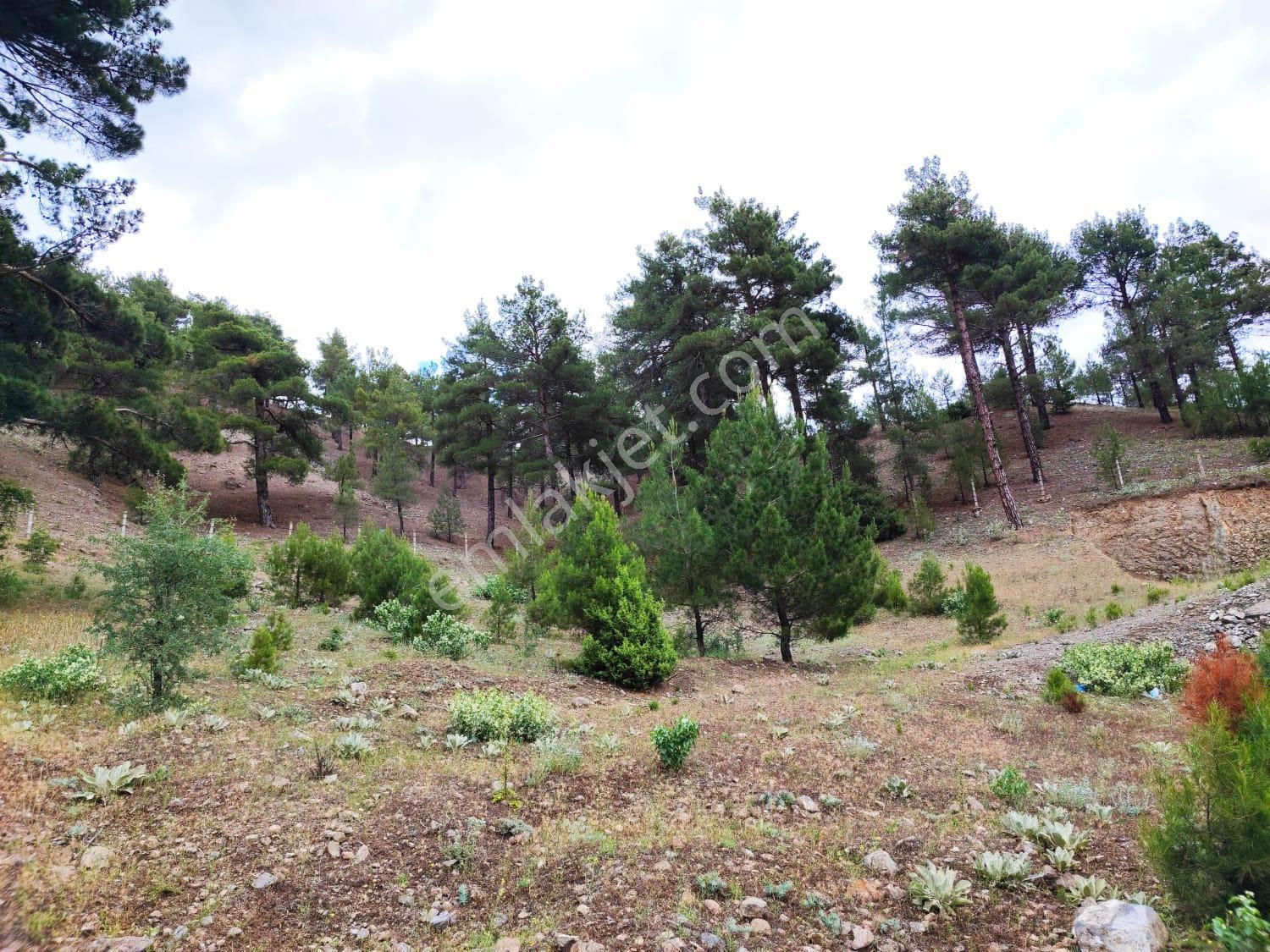 Kar Emlaktan İstiklal Mahallesinde 5 Kata İmarlı 400m2 Satılık Arsa - Görsel 34