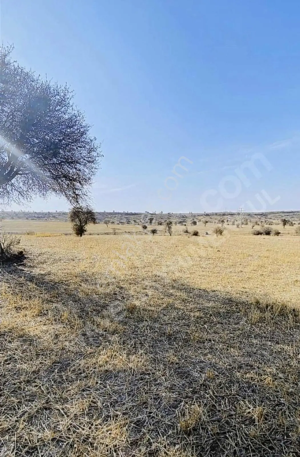 Wave Gayrimenkul'den Talas Kuruköprü 3000 M2 Yatırımlık Tarla... - Görsel 3