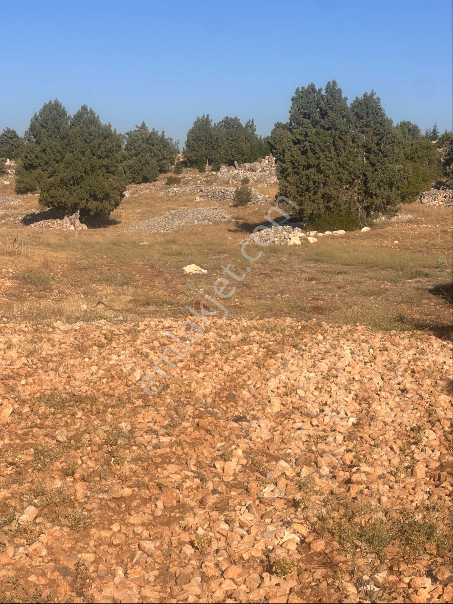 9471 Metre Kare Yatırımlık - Görsel 2