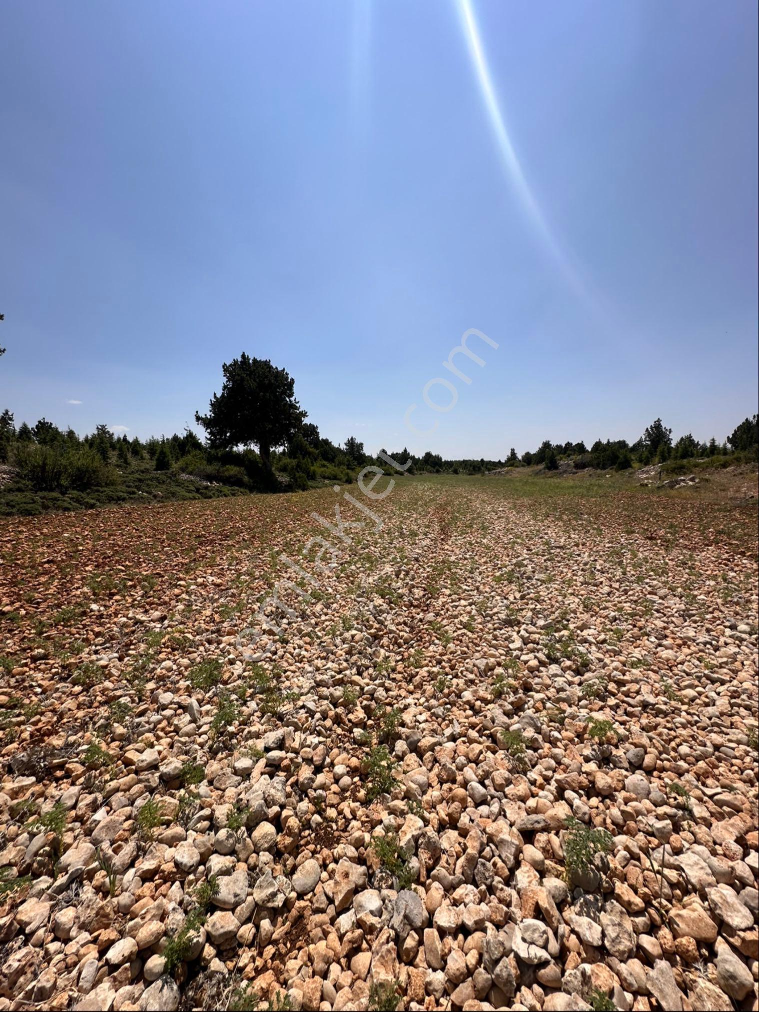 9471 Metre Kare Yatırımlık - Görsel 5