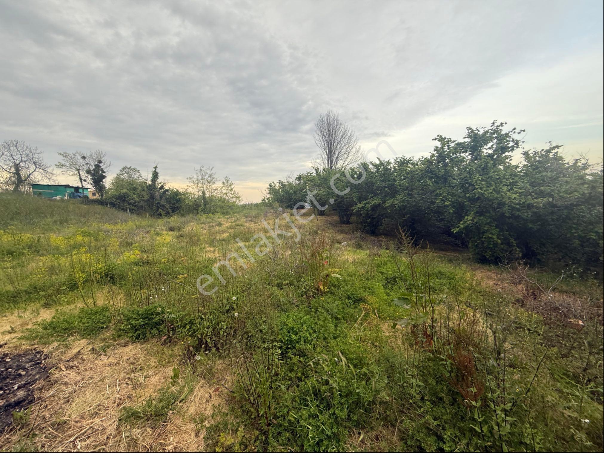 Müstakil Tapulu İmarlı 600m2 - Görsel 4