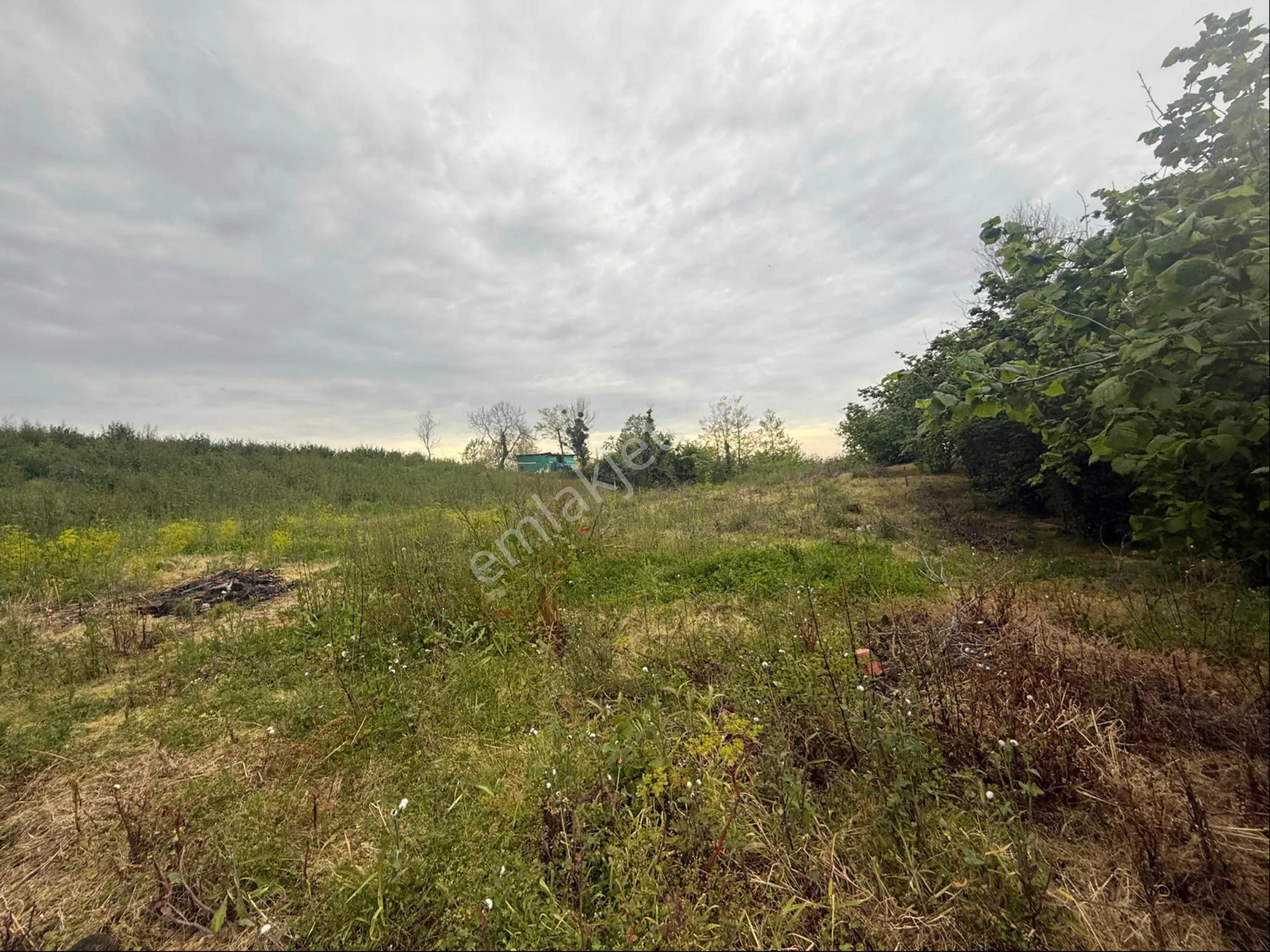 Müstakil Tapulu İmarlı 600m2