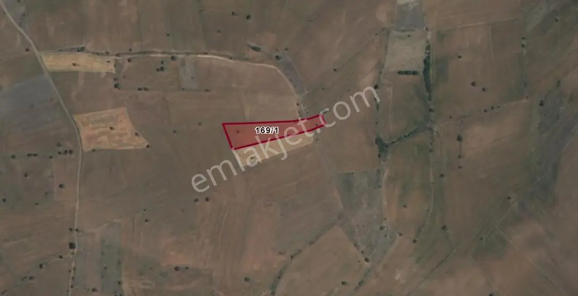 Rw Nest'ten Bozüyük Dodurga'da Satılık 3.484 M2 Tarla - Görsel 2