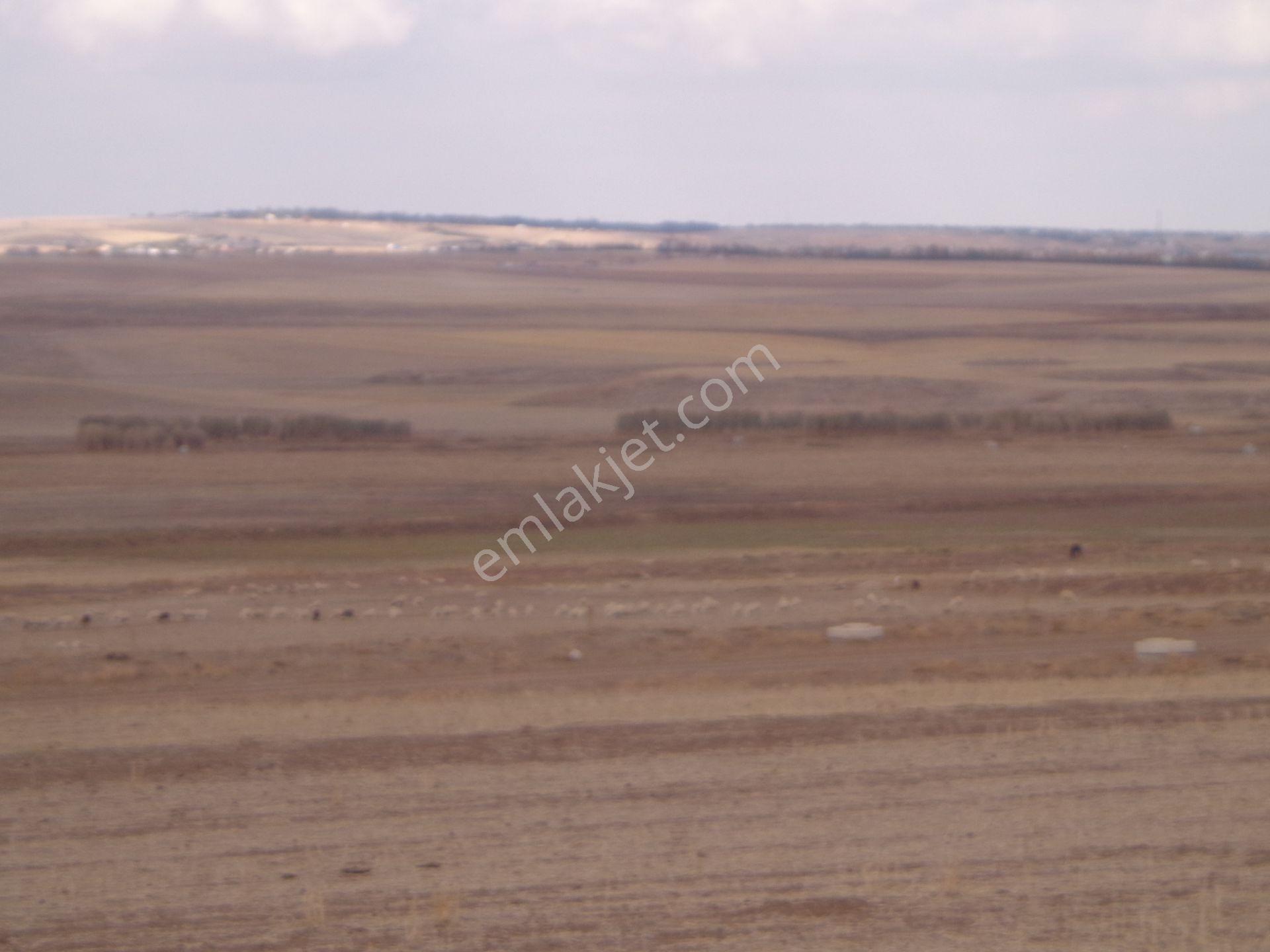 Gölbaşı Karagedik'te Bilkent Projesinde 1.000 M2 - Görsel 19
