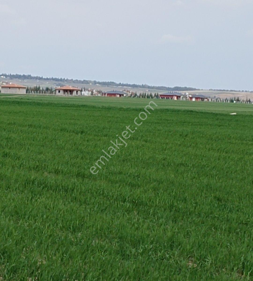 Gölbaşı Karagedik'te Bilkent Projesinde 1.000 M2 - Görsel 8