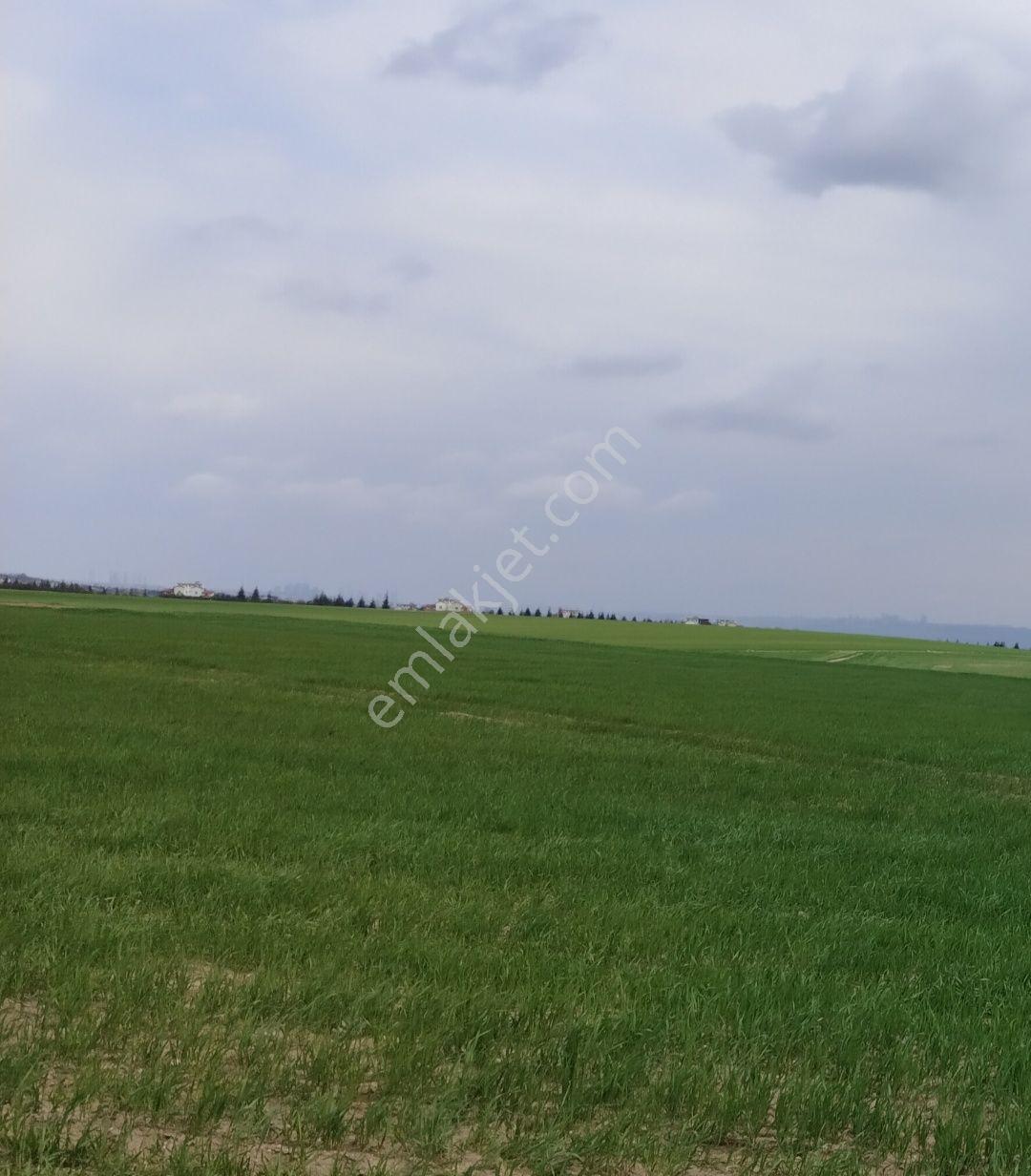 Gölbaşı Karagedik'te Bilkent Projesinde 1.000 M2 - Görsel 13