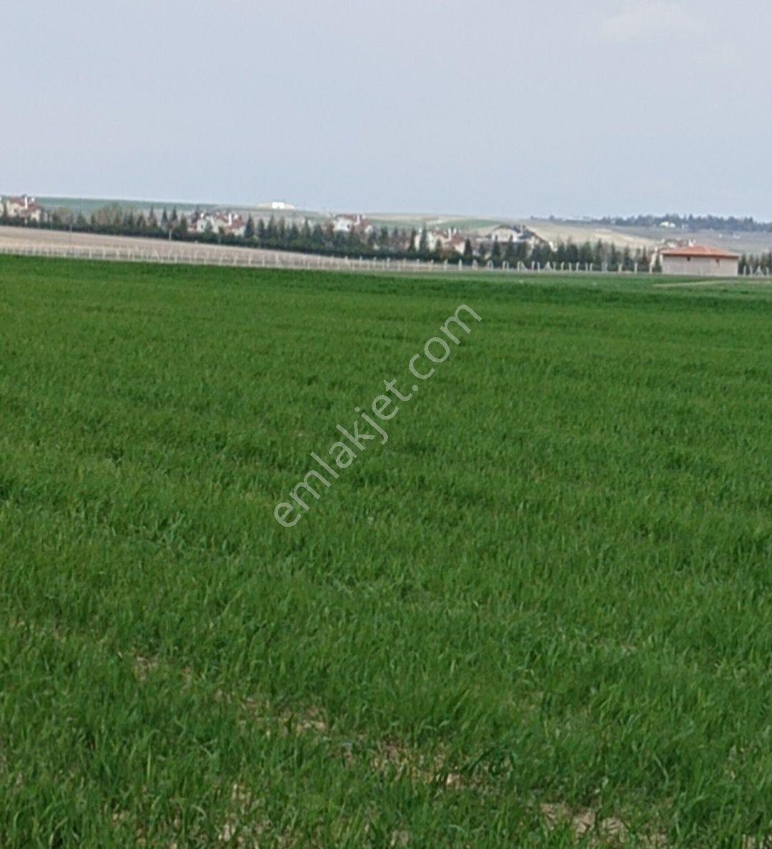 Gölbaşı Karagedik'te Bilkent Projesinde 1.000 M2 - Görsel 3