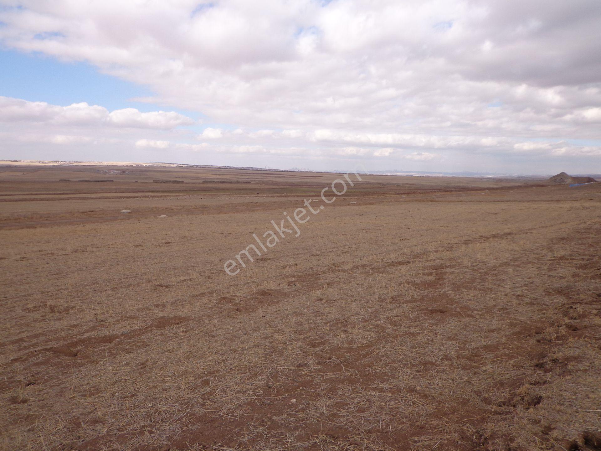 Gölbaşı Karagedik'te Bilkent Projesinde 1.000 M2 - Görsel 23