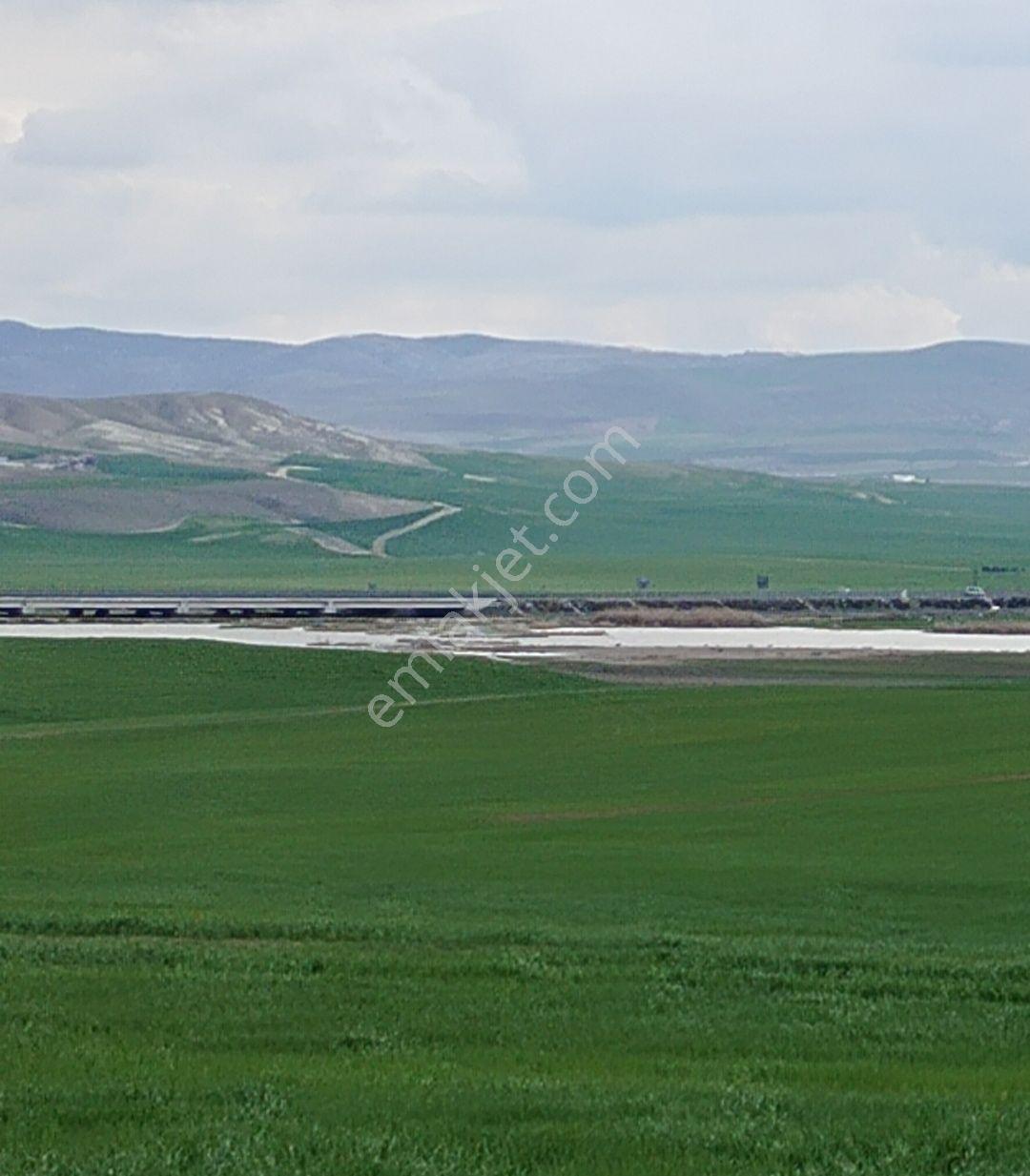 Gölbaşı Karagedik'te Bilkent Projesinde 1.000 M2 - Görsel 6