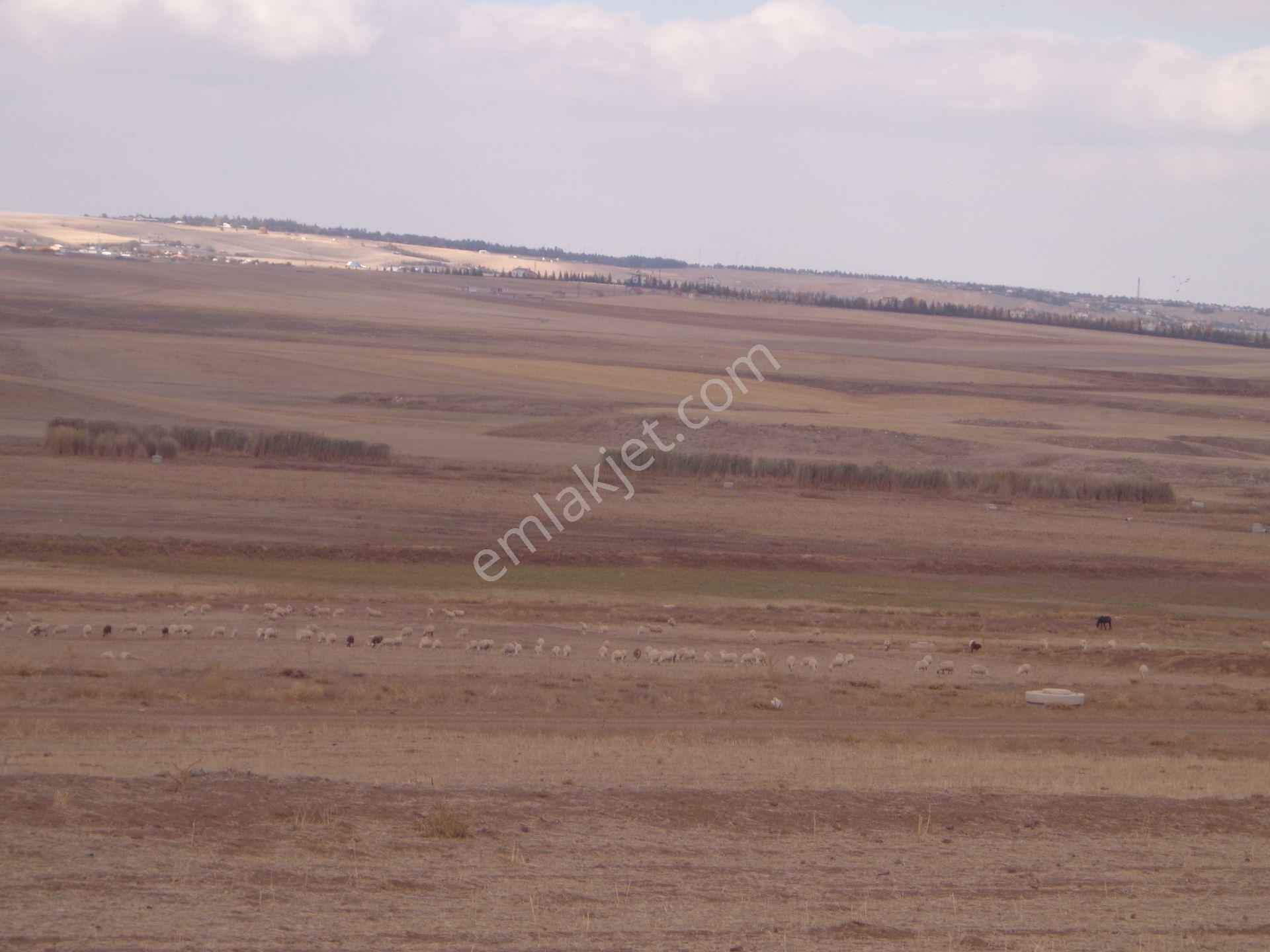 Gölbaşı Karagedik'te Bilkent Projesinde 1.000 M2 - Görsel 21