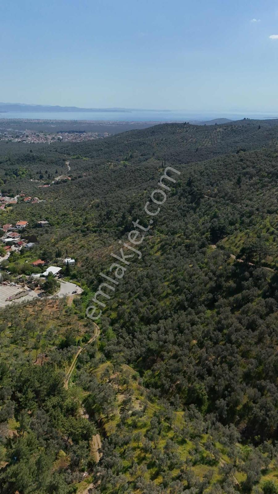 Parla'dan Zeytinlide %40 İmarlı Eşsiz Deniz Manzaralı Arsa - Görsel 5
