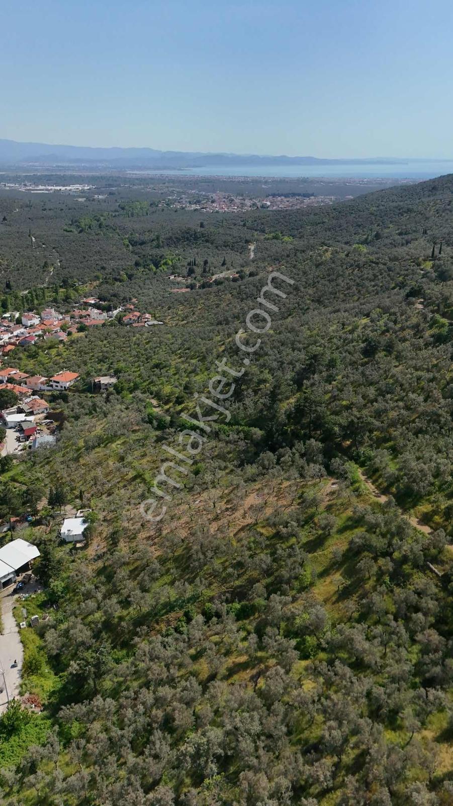 Parla'dan Zeytinlide %40 İmarlı Eşsiz Deniz Manzaralı Arsa - Görsel 9