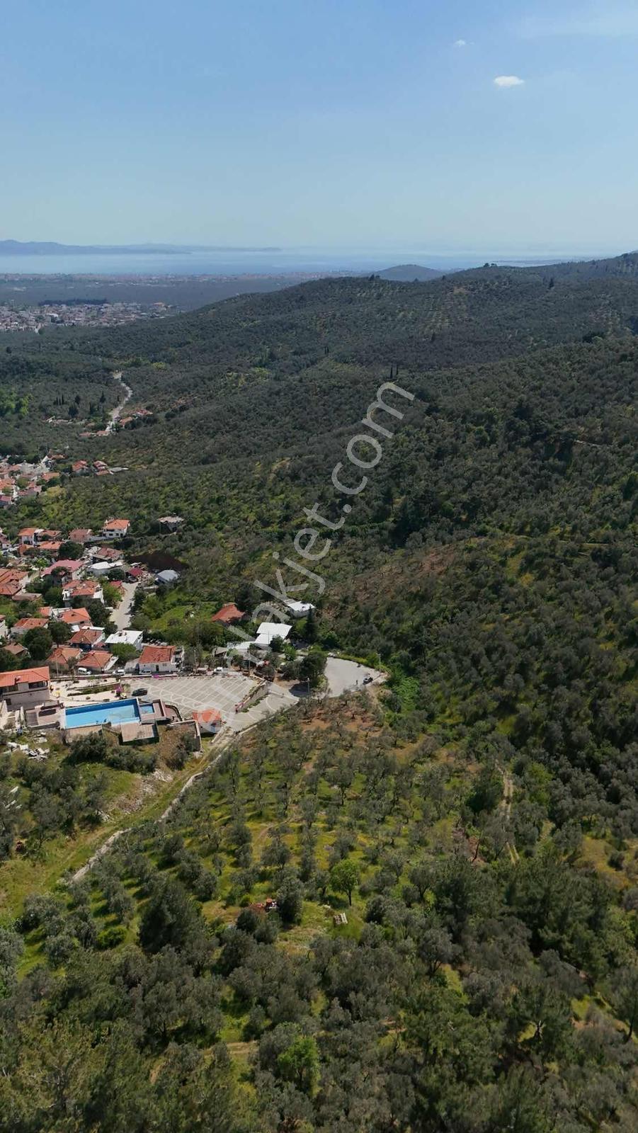 Parla'dan Zeytinlide %40 İmarlı Eşsiz Deniz Manzaralı Arsa - Görsel 6