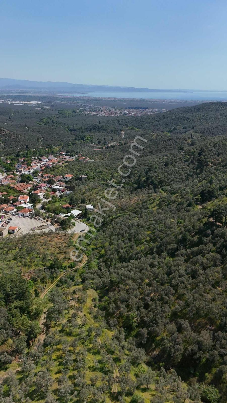 Parla'dan Zeytinlide %40 İmarlı Eşsiz Deniz Manzaralı Arsa - Görsel 14