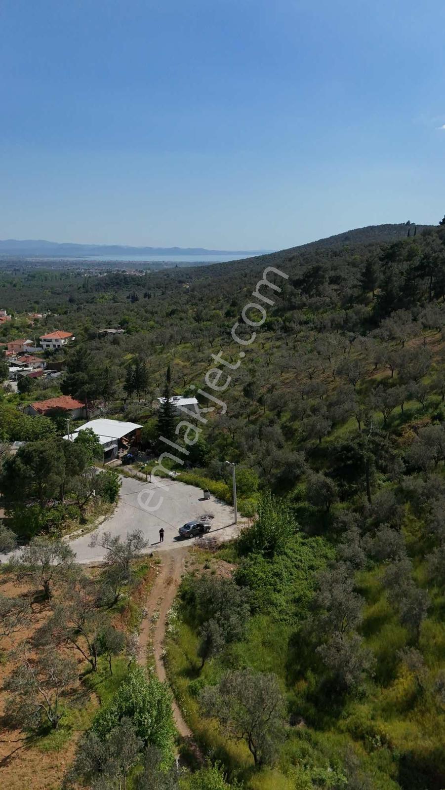 Parla'dan Zeytinlide %40 İmarlı Eşsiz Deniz Manzaralı Arsa - Görsel 12