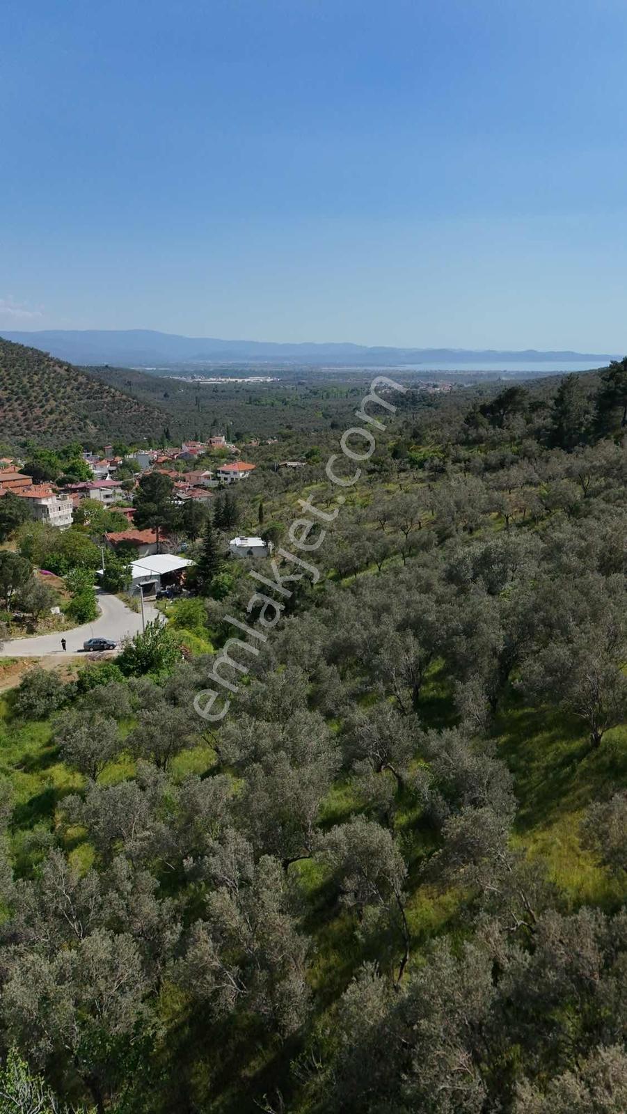 Parla'dan Zeytinlide %40 İmarlı Eşsiz Deniz Manzaralı Arsa - Görsel 13