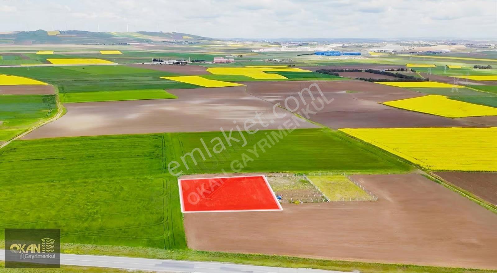 Bungalow Ruhsatı Hazır Arsa Villa İmarlı - Görsel 8