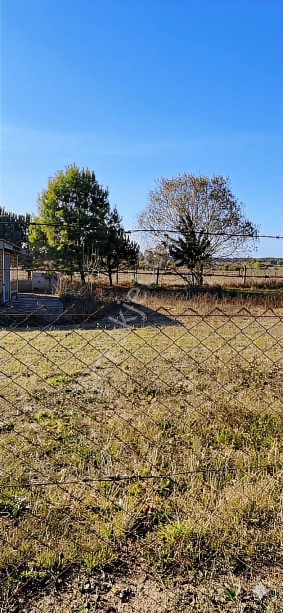 Çatalca İnceğizde Kiralık 5 Dönüm Tarla & Kuyusu Mevcut - Görsel 2