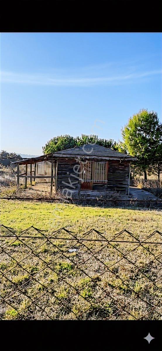 Çatalca İnceğizde Kiralık 5 Dönüm Tarla & Kuyusu Mevcut - Görsel 5