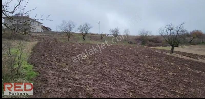 Bilecik Gölpazarı Sürmeli Köyü Yatırımlık 1.823 M² Arsa İmarlı - Görsel 2