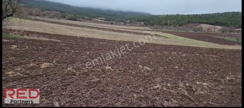 Bilecik Gölpazarı Sürmeli Köyü Yatırımlık 1.823 M² Arsa İmarlı - Görsel 4