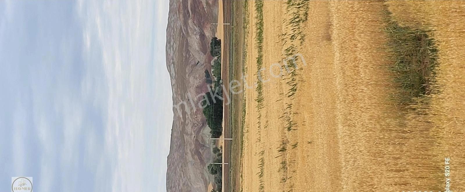 Sivas Merkez Kızılova Köyünde Verimli Arazi - Görsel 13