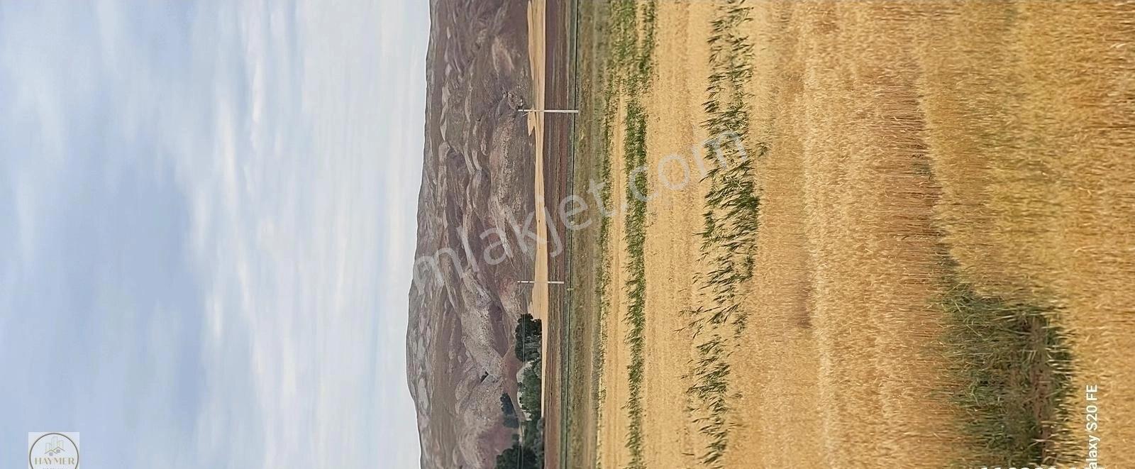 Sivas Merkez Kızılova Köyünde Verimli Arazi - Görsel 10