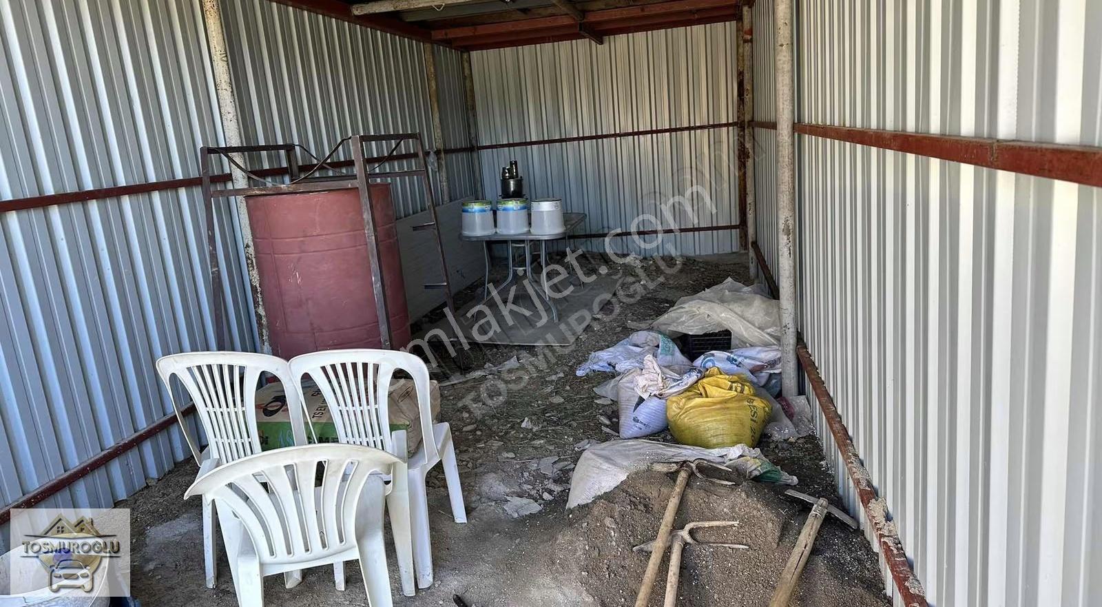 Alanya Özvadi De Satılık 5 Yıllık Avokado Bahçesi - Görsel 15
