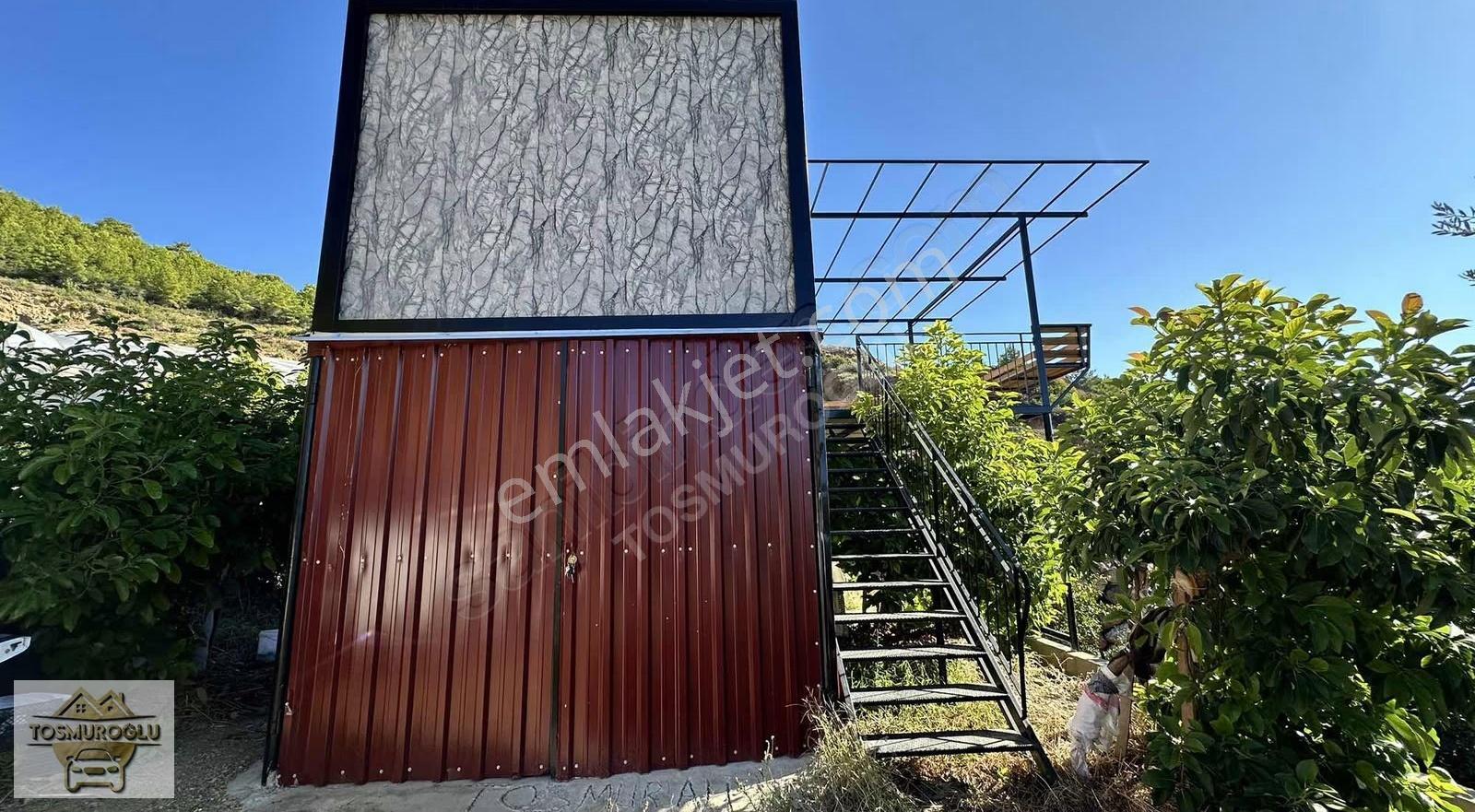 Alanya Özvadi De Satılık 5 Yıllık Avokado Bahçesi - Görsel 14