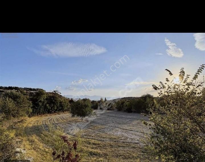 Sarayköy Duacılı'da 6932 M2 İmara Yakın Satılık Tarla - Görsel 5