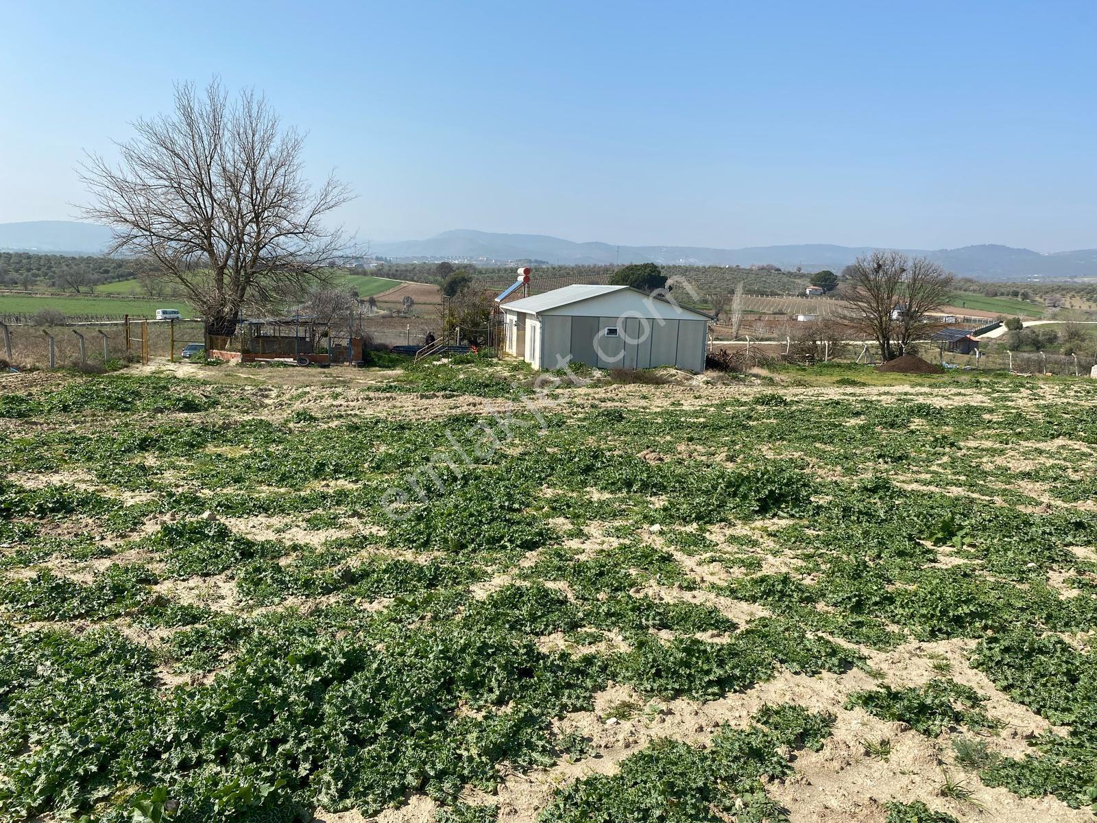 Uzun Emlak'tan Üçpınar'da 16.000 M2 Tarla Ev+elektrik Su Mevcut - Görsel 28