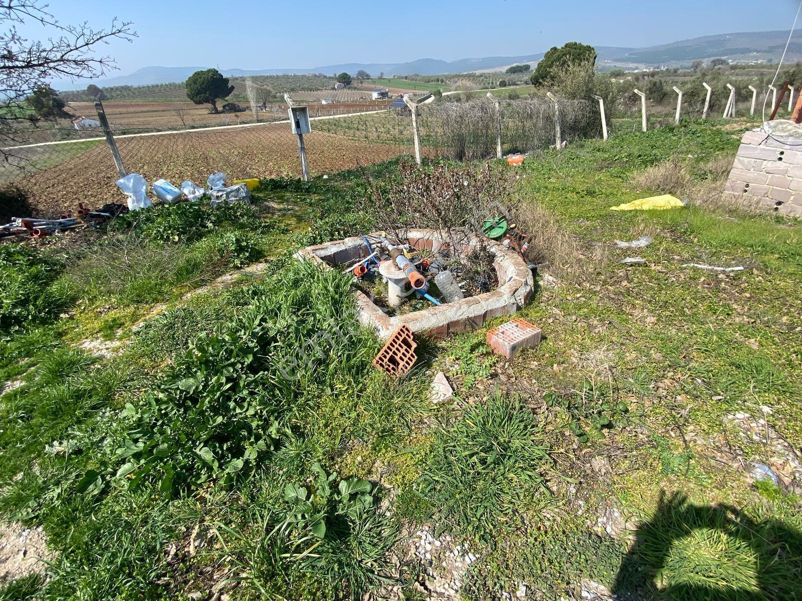 Uzun Emlak'tan Üçpınar'da 16.000 M2 Tarla Ev+elektrik Su Mevcut - Görsel 13
