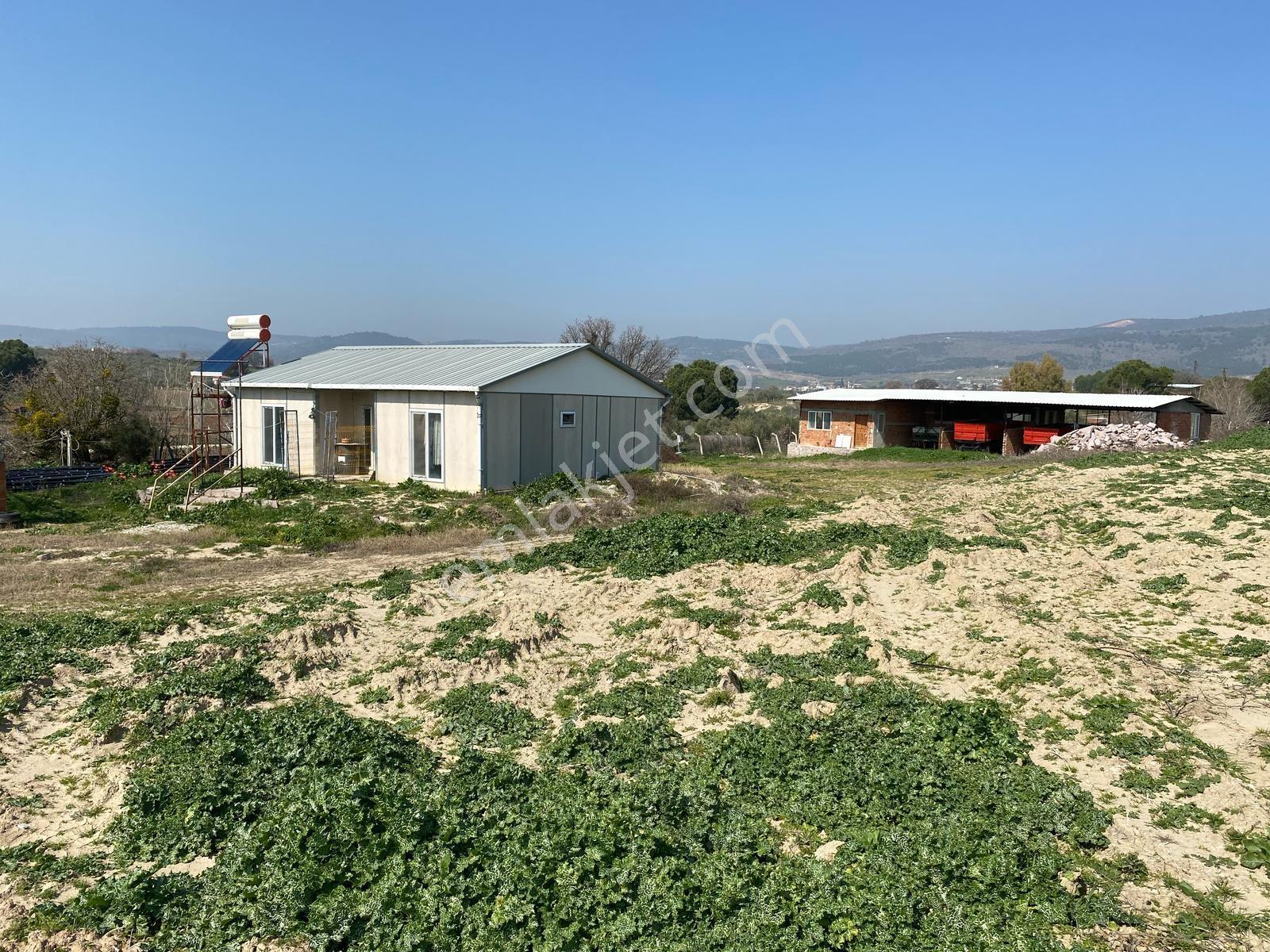 Uzun Emlak'tan Üçpınar'da 16.000 M2 Tarla Ev+elektrik Su Mevcut - Görsel 24