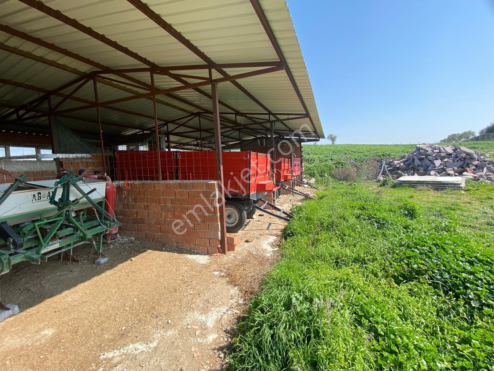 Uzun Emlak'tan Üçpınar'da 16.000 M2 Tarla Ev+elektrik Su Mevcut - Görsel 6