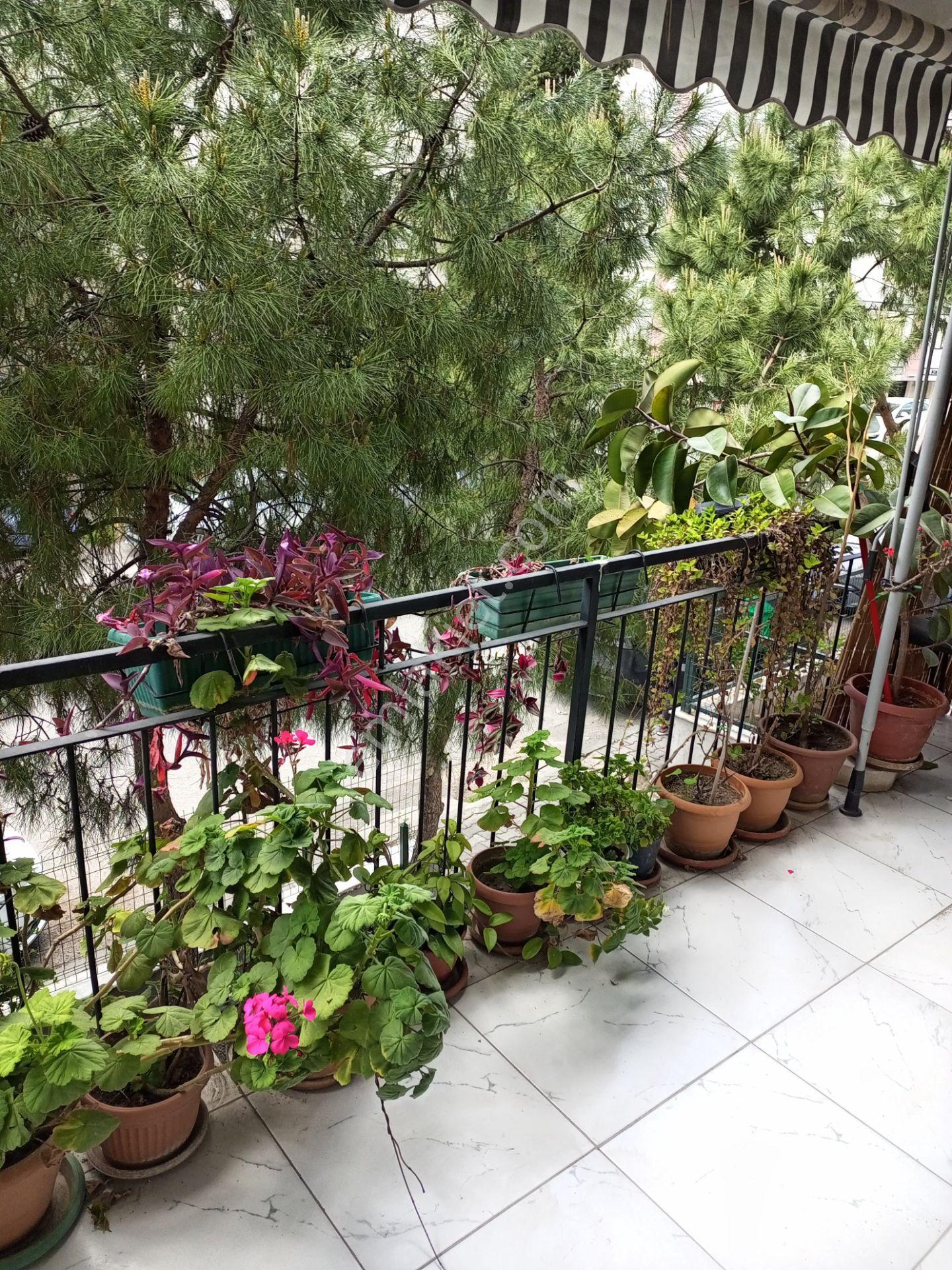Basınsitesi Hastane Okul Yakını Ful Bakımlı - Görsel 8