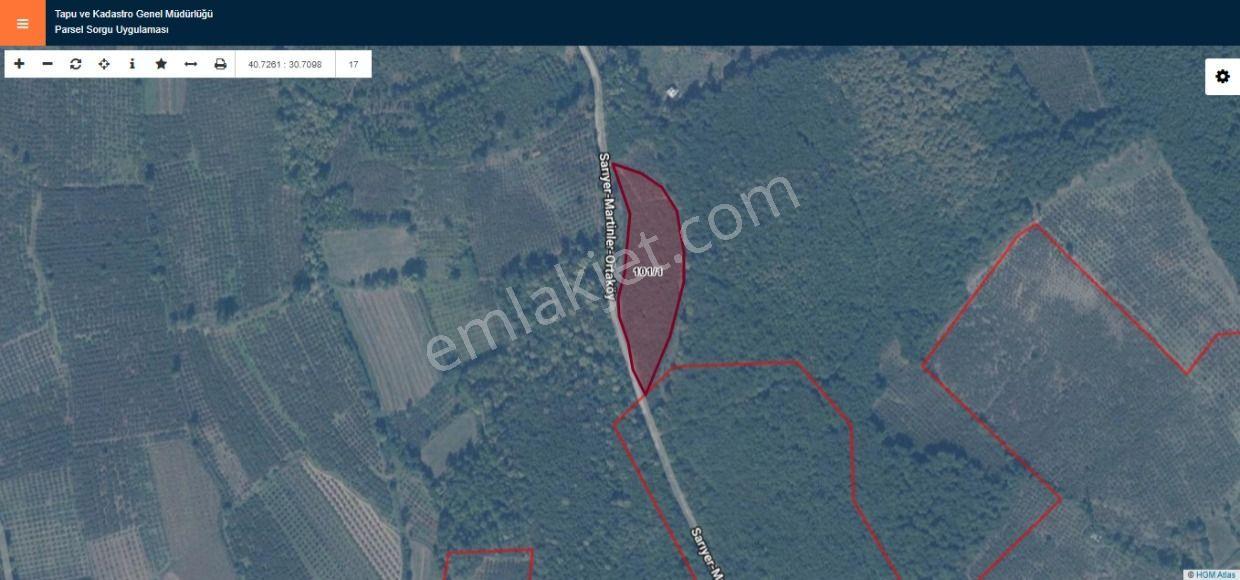 Kaçmaz Emlak'tan Sakarya Hendek'te Satılık 9824 M2. Fındıklık
