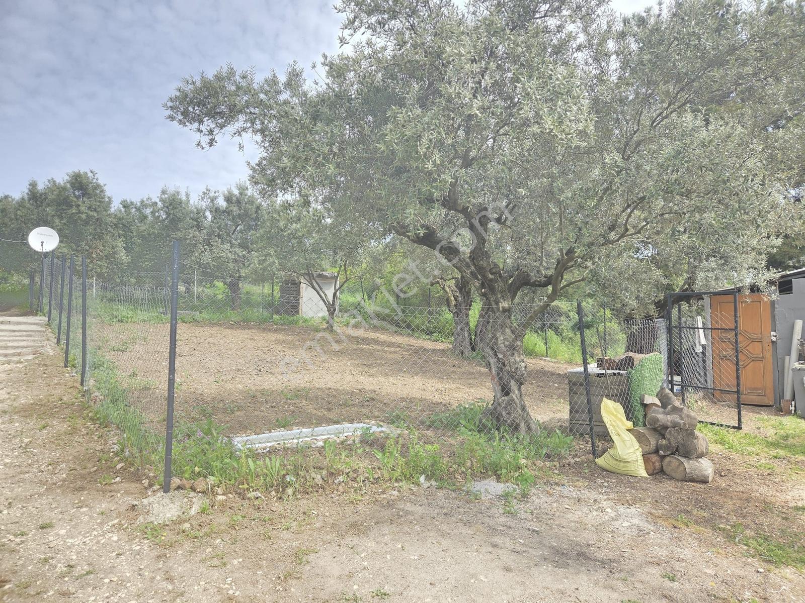 Mudanya Yaylacık Mh.de Muhteşem Manzaralı,oturuma Hazır,doga İçi - Görsel 21