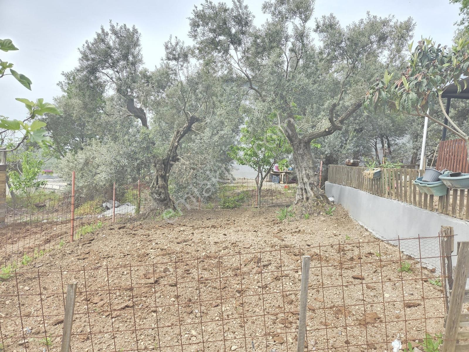 Mudanya Yaylacık Mh.de Muhteşem Manzaralı,oturuma Hazır,doğa İçi - Görsel 21