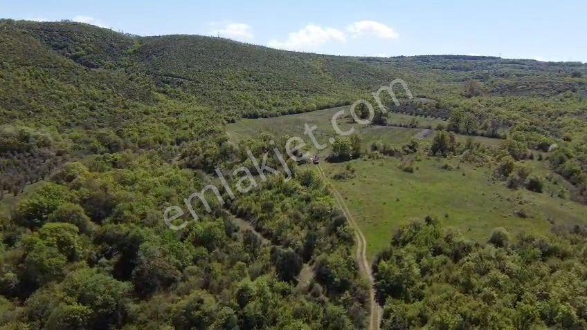 Karaoğlan Satılık Ceviz Bahçesi 14050 M2 Full Takaslı - Görsel 9