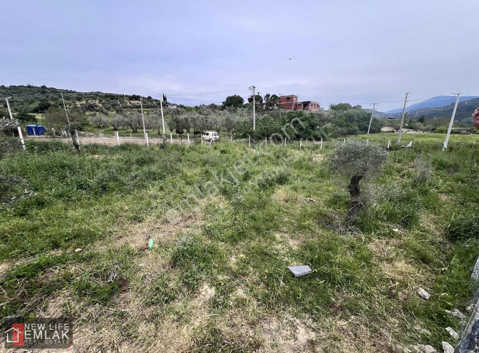 Kuşadası'nda Satılık Müstakil 1000 M2 İmarlı Arsa - Görsel 2